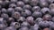 Big juicy blueberries rolling on the surface of berrys