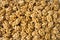 Big kernels walnuts situated arbitrarily. Closeup of big shelled walnuts. Walnut background, scattered pile of walnuts. Kernels wa