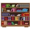 Big library bookcase with colorful books