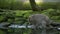 Big male macaque Ñatches fish in a forest pond.
