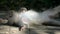 Big male macaque sleeping in the sun in the forest.