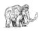 Big mammoth. Extinct animal. Ancestors of elephants. Vintage style. Engraved hand drawn sketch. Vector illustration