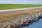 Big massive Dutch breakwater with sheep