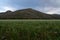 Big Meadows - Rocky Mountain National Park