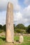 Big megalithic menhirs of sorgono , sardinia central - prenuragic