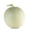 Big melon full ball on white background.