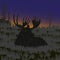 The big moose lying in the grass, the forest, black silhouettes, sunset, sunrise