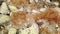 Big mountain rock stones, covered with lichen. Closeup of a rock surface with lots of green lichen psilolechia lucida