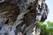 Big nature honeycomb on the rocky mountain. Beehive hanging on the stone. Honeycomb nest on the rocks. Wild bees, Himalayan honey