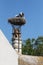 A big nest of Stork birds on top of the roof in Austria