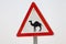 Big nice road sign attention camels