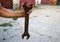 Big old rusty wrench is held by male dirty calloused hands