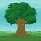 Big old tree with lush foliage on a green meadow. Fields and a blue sky in the background. Vector illustration. Summer, spring