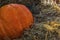 The big orange pampkin lays on the hay.