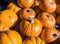 Big orange pumkins from an autumn harvest. A lot of pumkin at market place. Lots of pumpkins, great for fall background