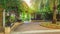 Big park pergola covered by climbing lush plants