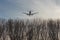 Big passenger airlplane flying low over forest trees against clear blue sky during sunset. Landing or take off. Bottom view. Copys