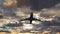 Big passenger airplane taking off from airport runway against evening sky