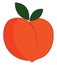 Big peach, illustration, vector