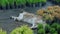 Big pet dog sleeping in shade in puddle among rows of potted coniferous and deciduous seedlings on plant nursery, greenhouse, farm