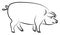 Big pig standing, illustration, vector