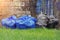 Big pile of garbage and waiste in black and blue polyethylene bags. Environmental protection concept
