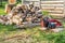 Big pile of round cuts of tree wood, red electrical chainsaw. The logs are sawed from the trunks of birch stacked in a pile. Birch