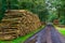 Big piles of cut tree trunks with a muddy forest road in the liesbos of Breda, the Netherlands