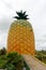 Big Pineapple Bathurst