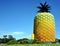 The Big Pineapple, Summer Hill Farm
