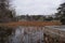 Big pond with overgrown grass on a gloomy day