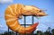 He Big Prawn sculpture, Ballina