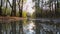 Big puddle on footpath in woods. sky and trees are reflected in water.