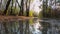 Big puddle on footpath in woods. sky and trees are reflected in water.