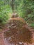 Big puddles on forest path