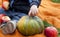 Big pumpkin, apples and hand of child/baby