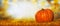 Big pumpkin on lawn over autumn nature background, banner