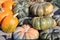 Big Pumpkin pile , assortment of different kinds. Seasonal fall market