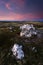 Big quartz rocks on the top of a mountain in Nordgruvefeltet are