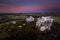 Big quartz rocks on the top of a mountain in Nordgruvefeltet are