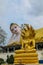 Big reclining Buddha statue and Gold Buddha with naga in Thailand Wat