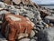 Big red brick boulder block on a rocky beach waterfront