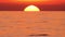 Big Red Hot Sun in Warm Air Distortion Above Ocean Horizon, Sunset over the sea, Big Rising Sun with Clouds. Closeup