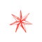 Big red seven pointed Christmas star. Watercolor illustration on a white background
