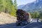 Big rig powerful semi truck transporting logs running on the win