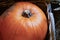 Big ripe orange pumpkin in a wicker basket closeup crop autumn design rustic