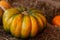 Big ripe pumpkin ribbed harvest autumn rustic style on a pile of hay background vegetable