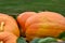 Big ripe pumpkin on a transport cart.