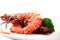 Big river prawn food