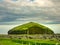 Big rock in the field of volcanic rocks covered with moss